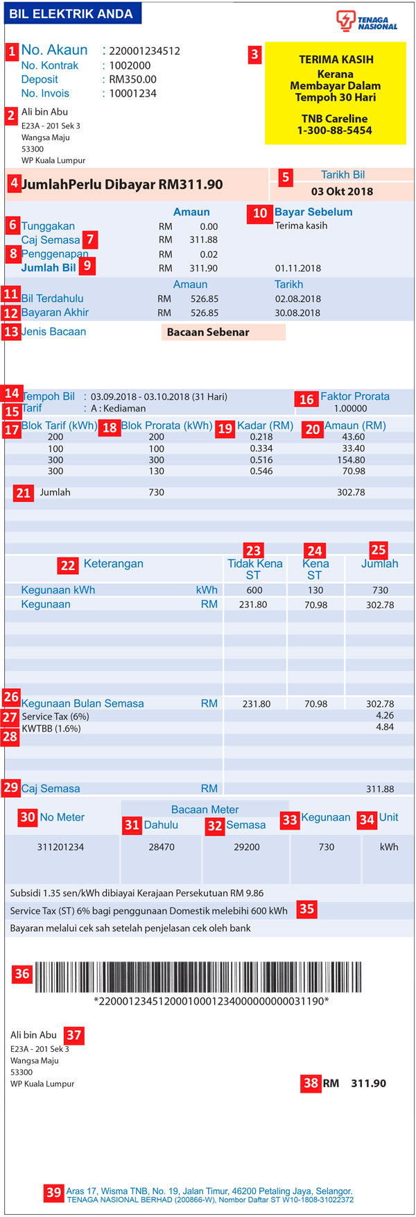 TNB Online Bill Layout Page 1